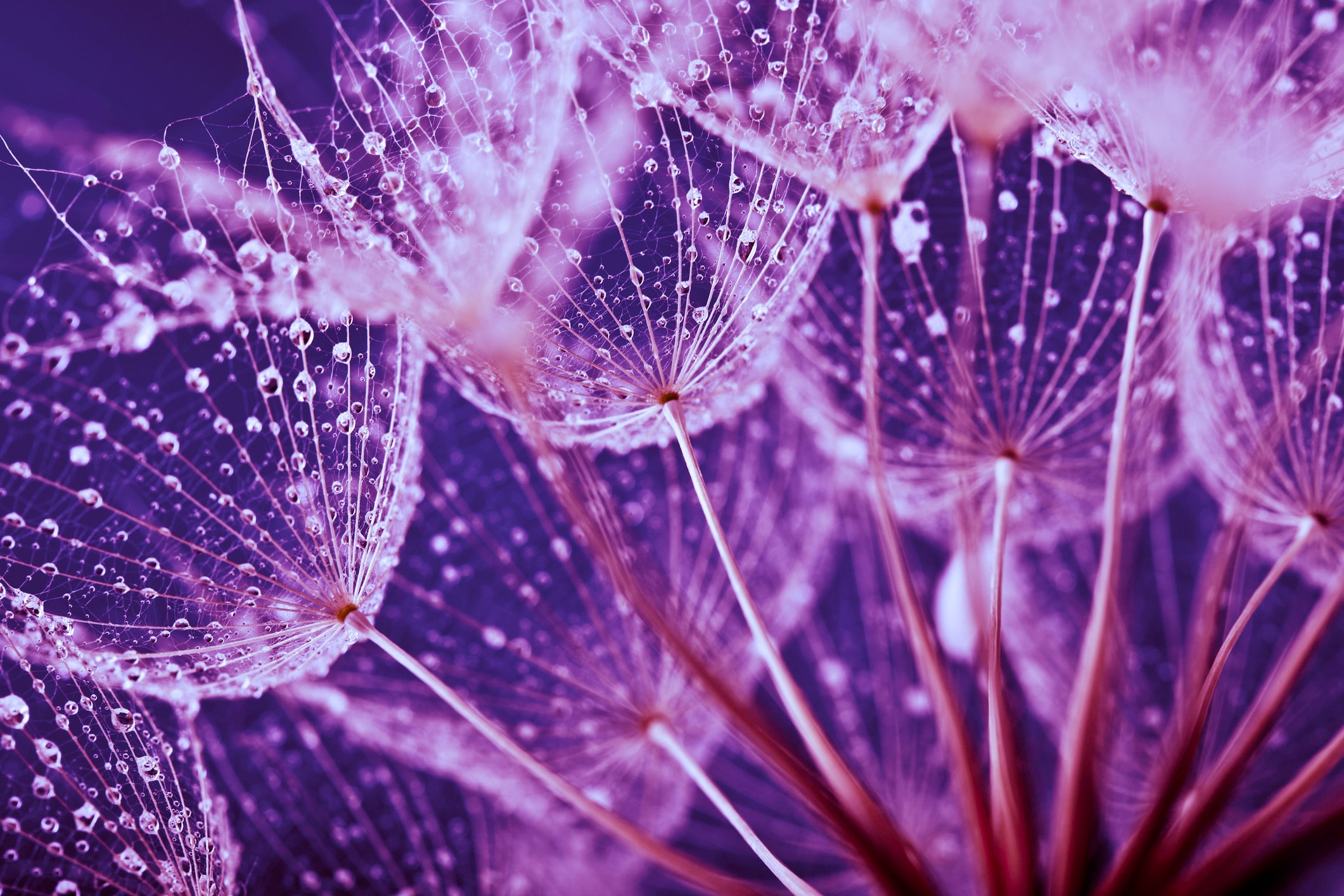 Sarah's experience: Reclaiming vitality through cellular rejuvenation